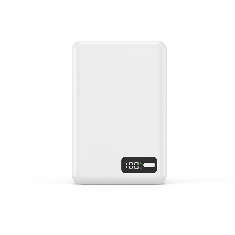 p30-10000-w (3)