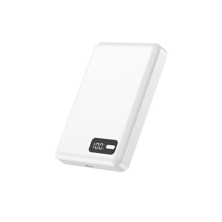 p30-10000-w (6)